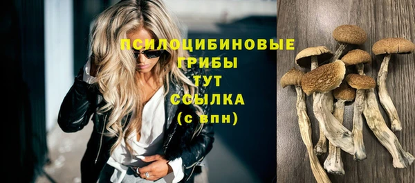 мдпв Няндома