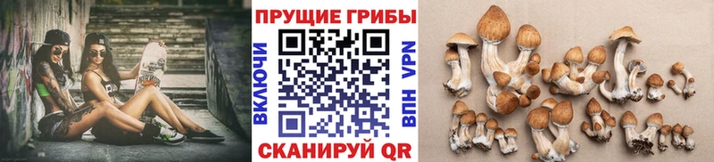 Псилоцибиновые грибы Magic Shrooms Тырныауз