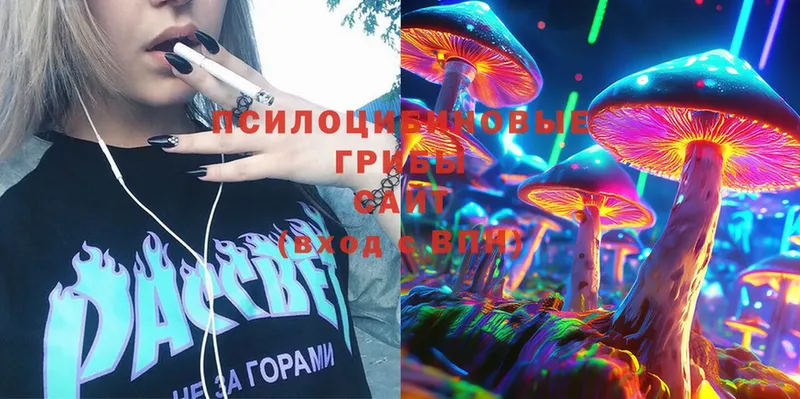 Галлюциногенные грибы MAGIC MUSHROOMS  Тырныауз 